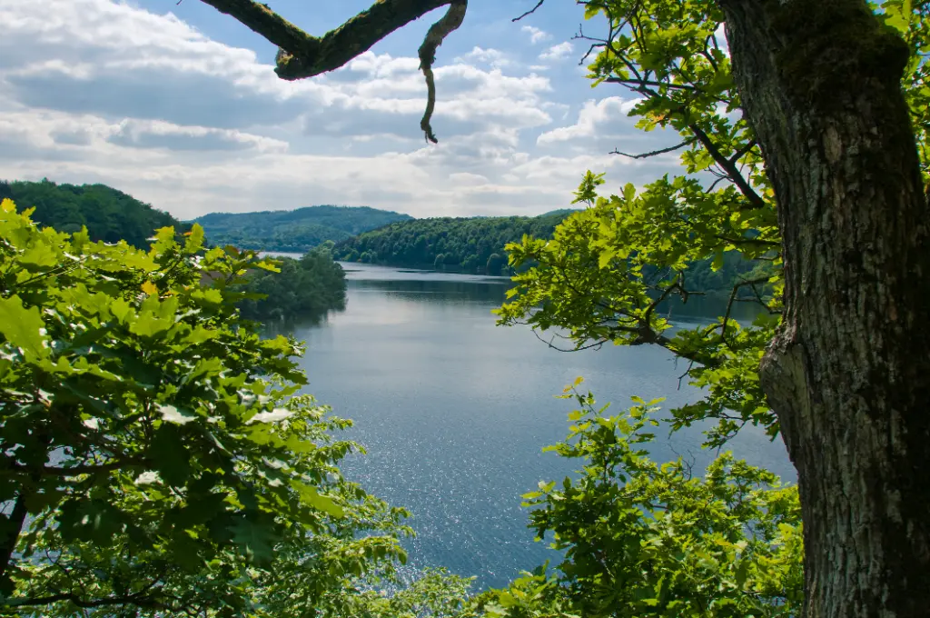 Blick vom Urwaldsteig auf den Edersee