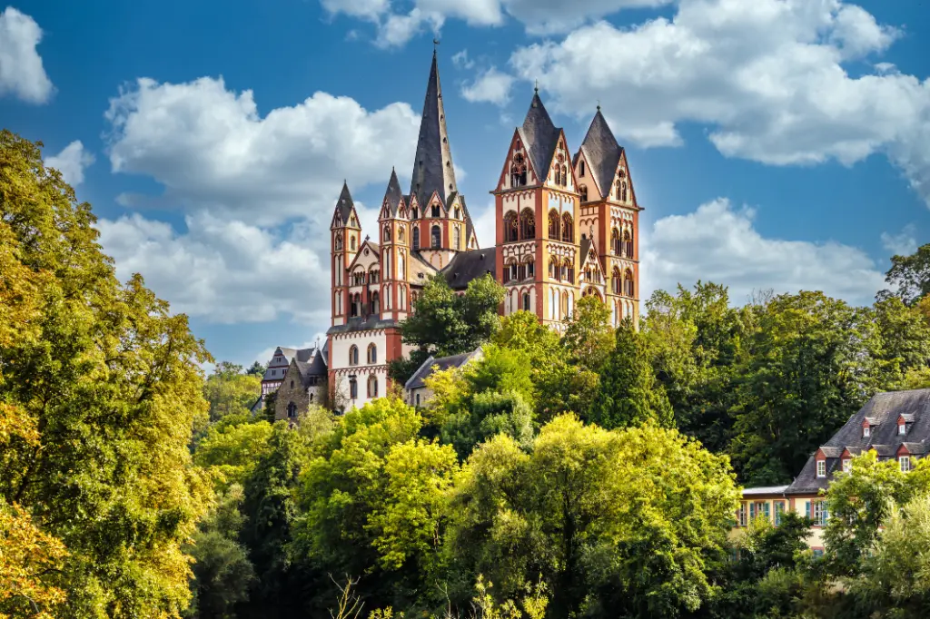 Blick durch die Bäume auf den Limburger Dom