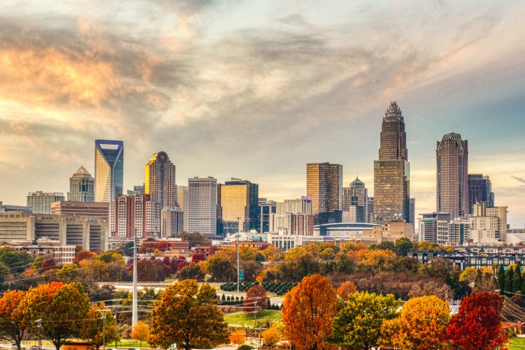 Beautiful autumn leaves adorn the Charlotte skyline on a cool November day.