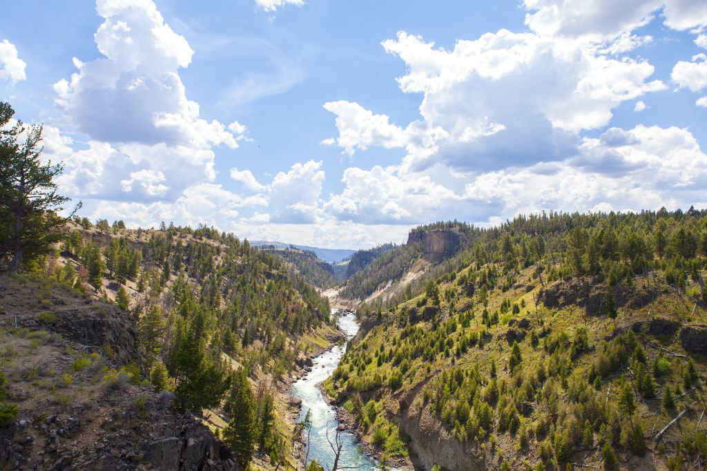 Landscape in Yellowstone National Park