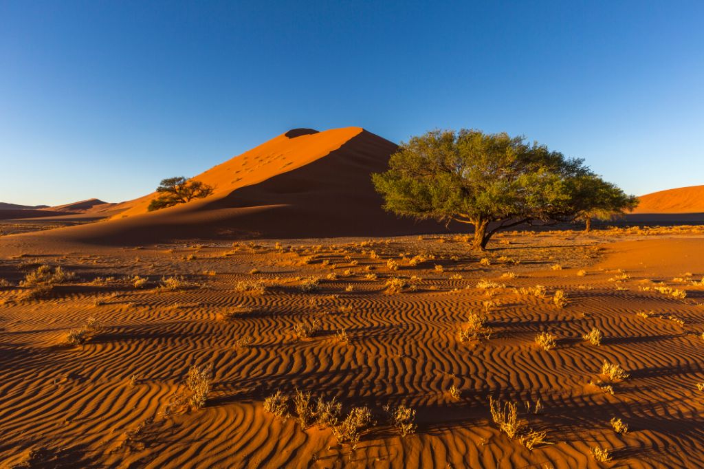 Desert with dunes in Namibia