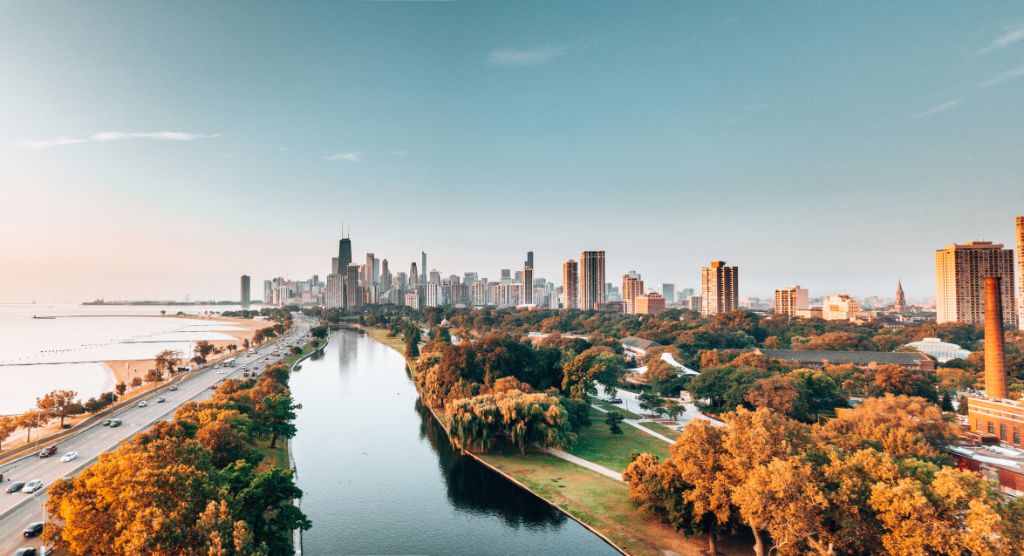 chicago skyline from the park