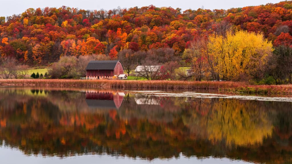 reflection of red barn during fall in southern minnesota