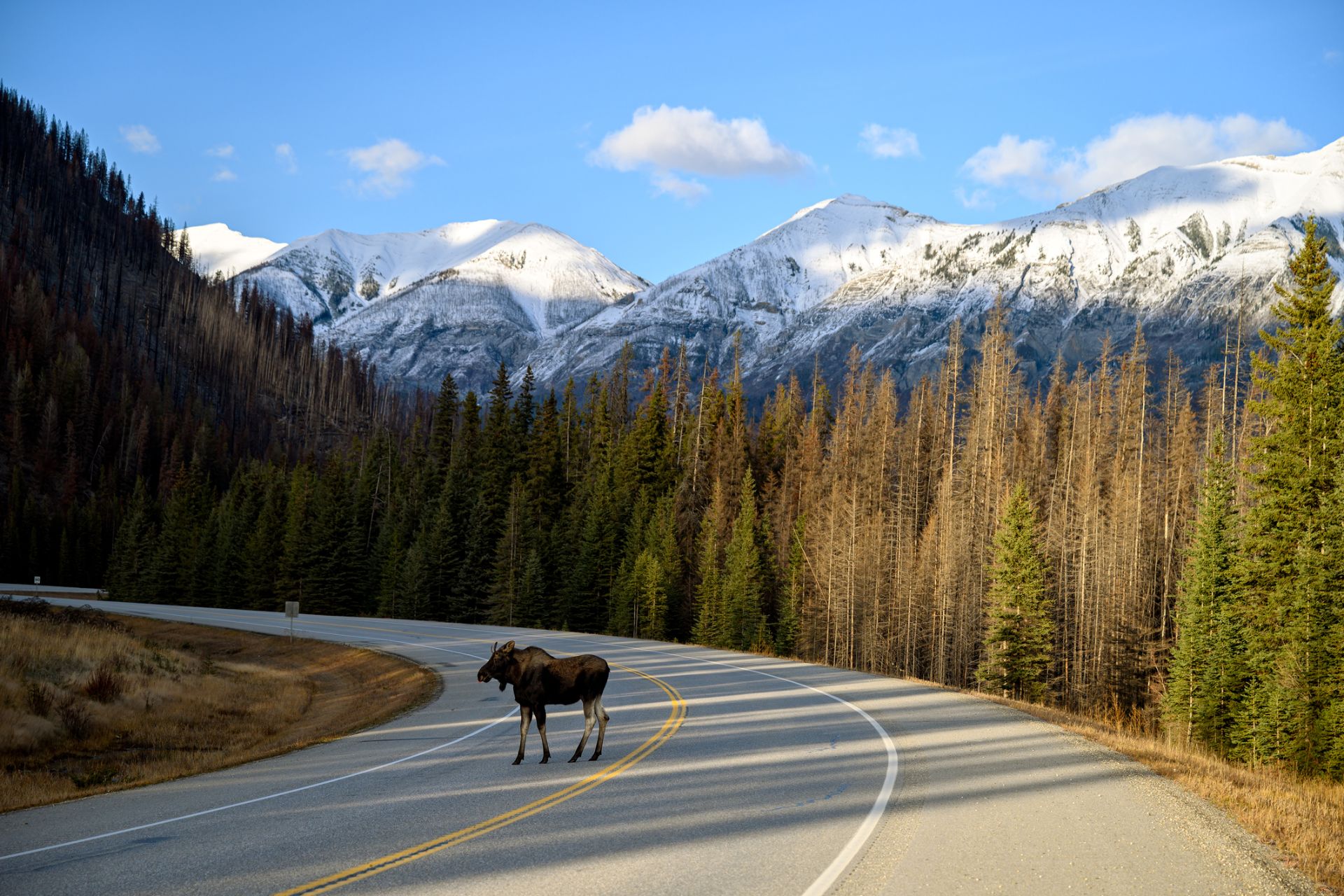 Cruise Canada RV rental in Canada motorhomebookers